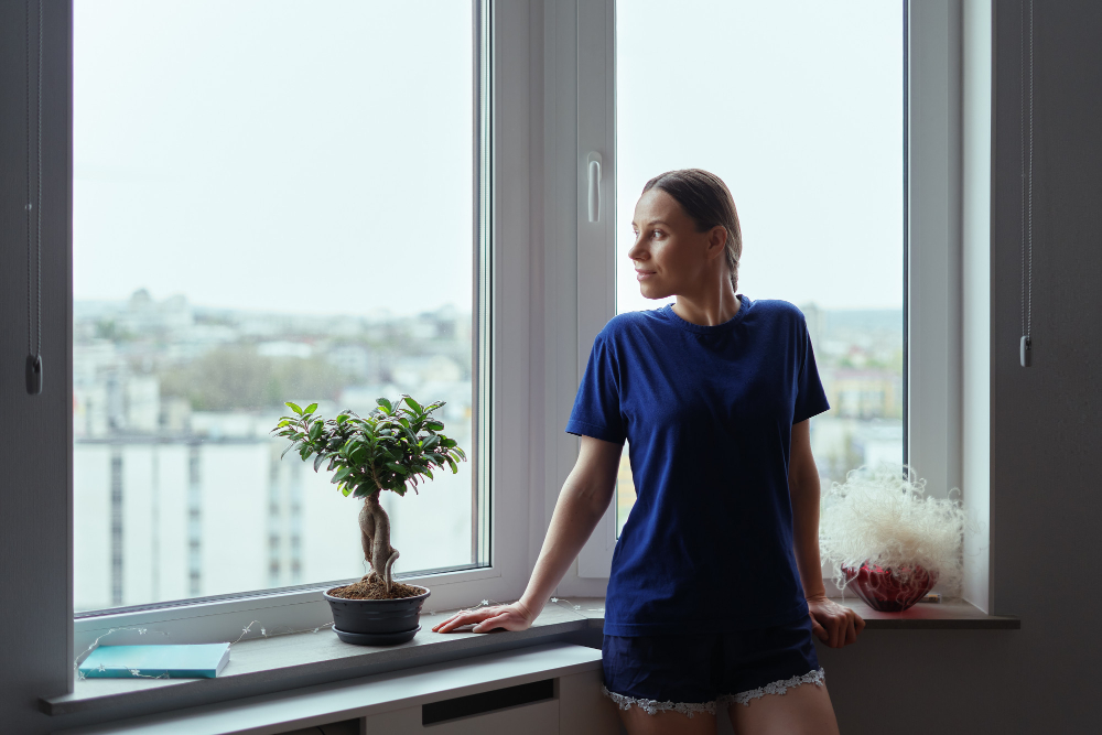 Naperville Bay & Bow Windows